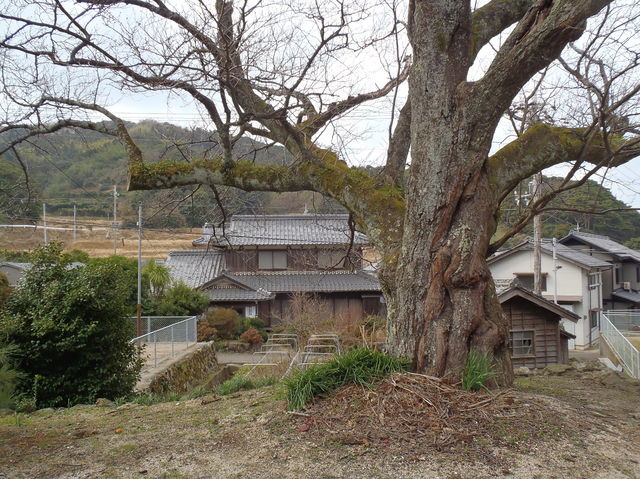 日本の原風景が残る海岸集落、京都府瀬崎