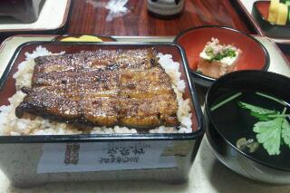 鰻