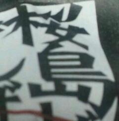 惹かれて買っちゃいました。
