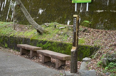わがままの正体は・・・