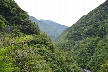 わがままの正体は・・・
