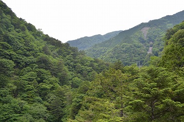 わがままの正体は・・・