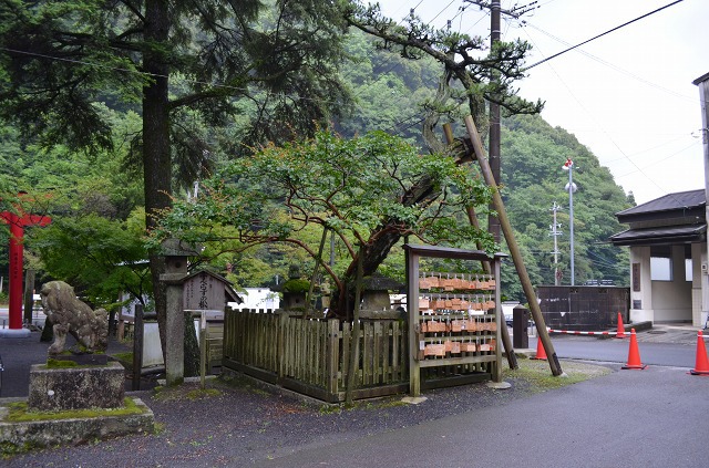 春日市は内々神社へ行ってきました。 春日市は内々神社へ行ってきました。