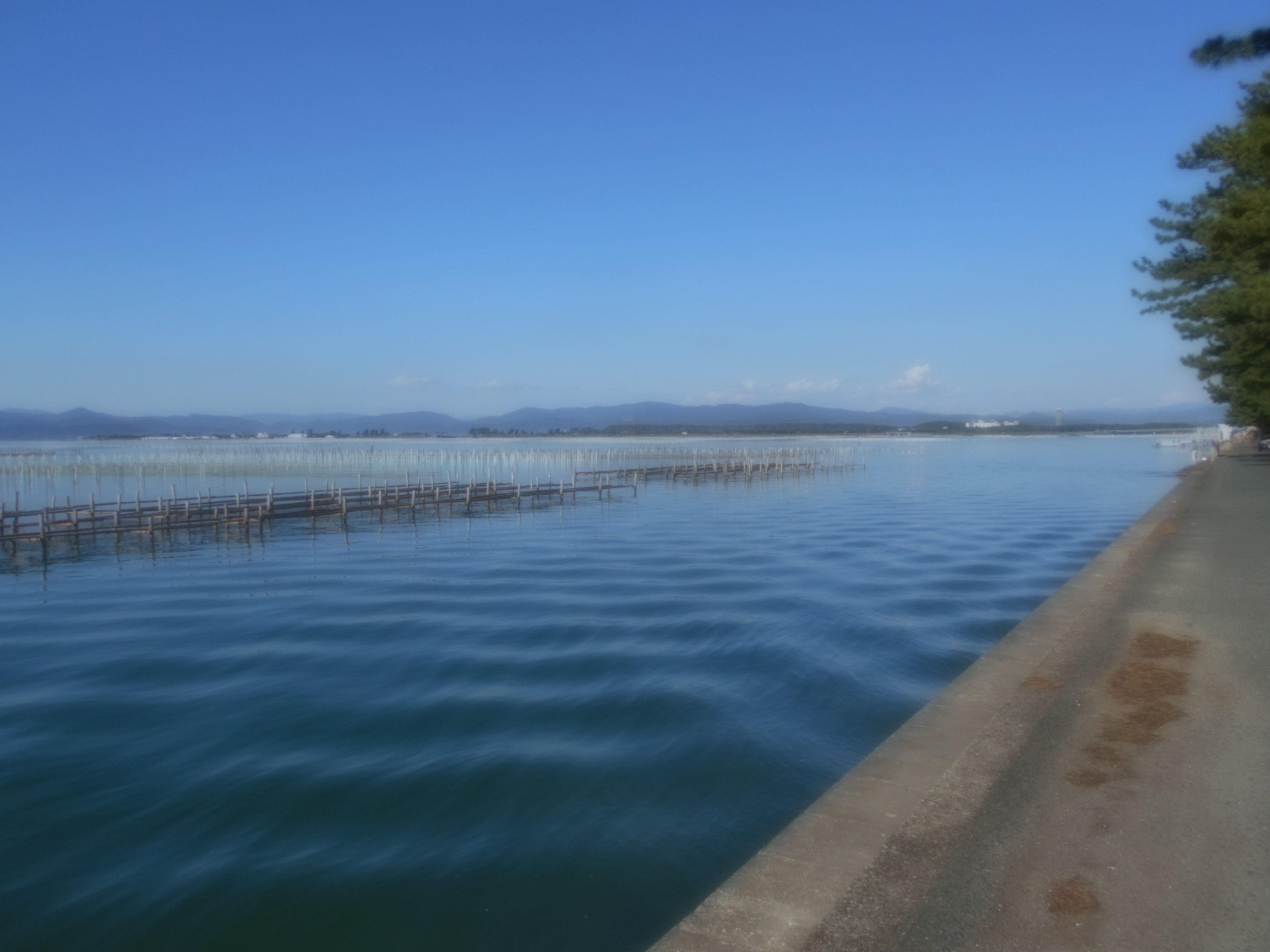 浜名湖の風景＆潮の香り　2023年10月