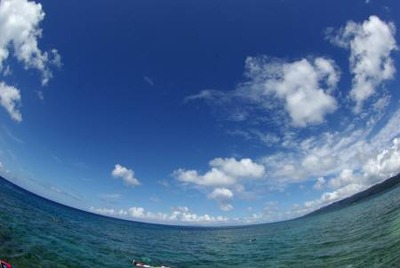 夏が来る!