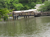 東京ライブ・・・その3&おまけ