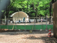 東京ライブ・・・その3&おまけ
