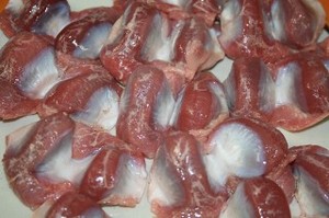 尾道焼き (砂肝・イカ天入りのお好み焼き)