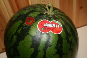 ぴーすさんより、甘い巨大スイカ(縞無双H)をいただきました