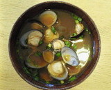 あさりのようなしじみ