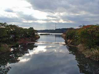 佐鳴湖の北
