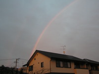 ”虹が”
