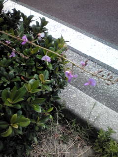 ホッとします