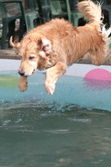 3連休のワンコ!