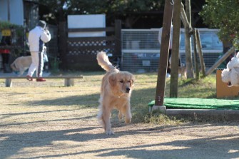 良い笑顔♪