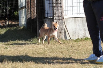 良い笑顔♪