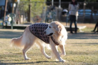 良い笑顔♪