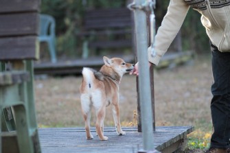 良い笑顔♪