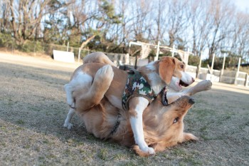 なかよし♪