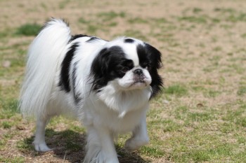 う~ん。。