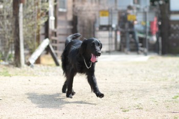 う~ん。。