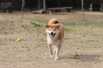 う~ん。。