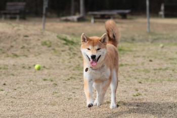 う~ん。。