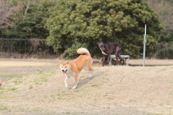 う~ん。。