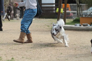 う~ん。。