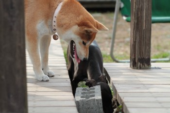 う~ん。。
