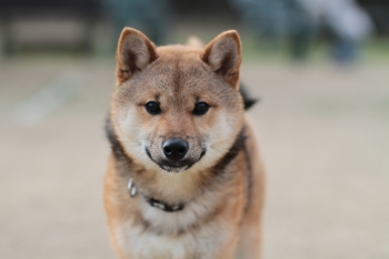 う~ん。。
