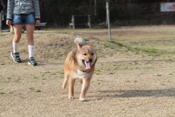う~ん。。