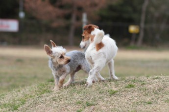 かぁ~いいなぁ♪