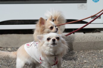大丈夫♪
