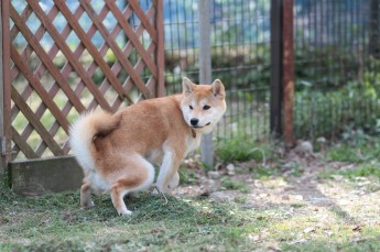 帰りはニコニコ♪