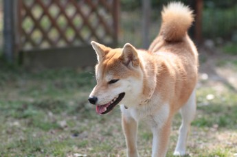 帰りはニコニコ♪