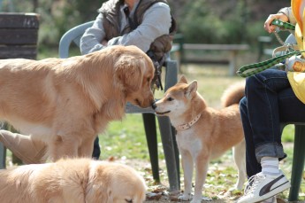 帰りはニコニコ♪