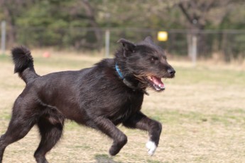 変わったかな?