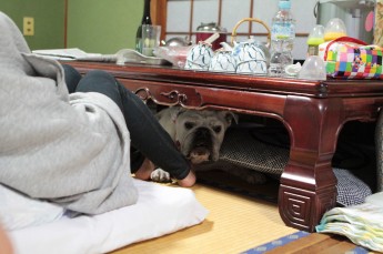 冥土の土産旅行♪③