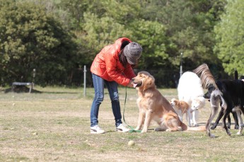 続・週末のワンコ♪