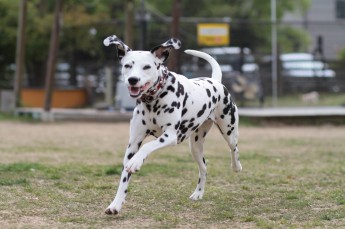 週末のラスト!