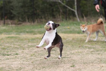 週末のラスト!