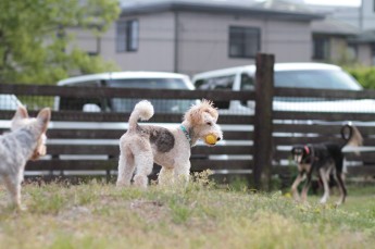 週末のラスト!