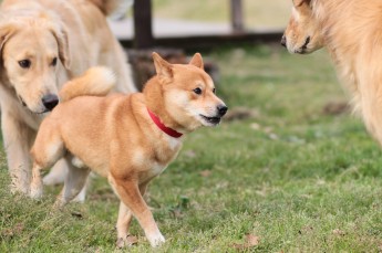 週末のラスト!