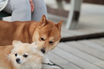 週末のラスト!