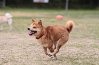 週末のラスト!