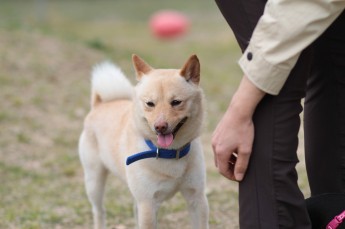 週末のラスト!