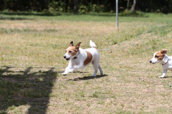 急げ♪