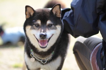 続・週末のワンコ♪