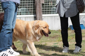 続・週末のワンコ♪